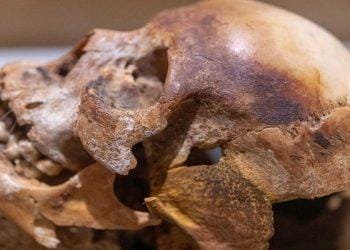 Karbon-14 Metodu Nedir? Radyokarbon Tarihleme Nasıl Yapılır?Özgün 