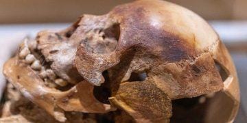 Karbon-14 Metodu Nedir? Radyokarbon Tarihleme Nasıl Yapılır?Özgün 