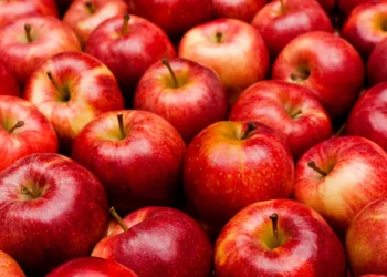 Benim Gördüğüm Kırmızı Seninkiyle Aynı Mı?Basın Bildirisi 