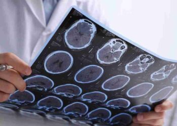 Beyin-Kas İletişiminin Dilini AnlamakBasın Bildirisi 