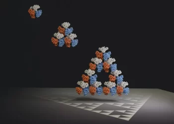 Bilim İnsanları, Doğal Olarak Fraktal Oluşturan Bir Molekül KeşfettiBasın Bildirisi 