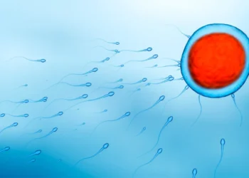 Biyolojik Cinsiyetler, Sadece Erkek ve Dişiden İbaret Değil