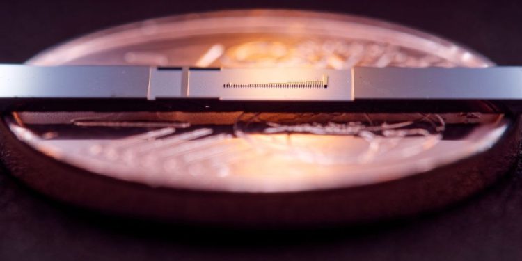 Nanofotonik elektron hızlandırıcı, yalnızca milimetreler uzunluğunda küçük bir hızlandırma tüpünü barındıran bir mikroçipten oluşur. Bu fotoğraf, cihazın bir madeni parayla karşılaştırıldığında ne kadar küçük olduğunu gösteriyor. (Görsel kaynağı: FAU, Stefanie Kraus, Julian Litzel)
