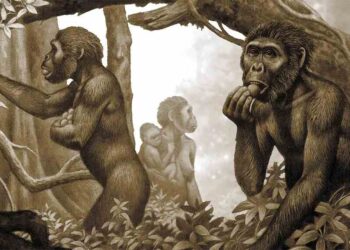 Erken İnsan Ataları İçin Et, Sofranın Vazgeçilmezi DeğildiBasın Bildirisi