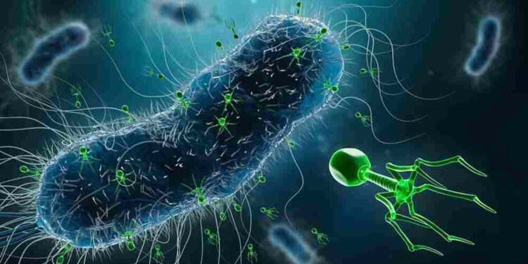 Görsel kaynağı: MattLphotography/Shutterstock