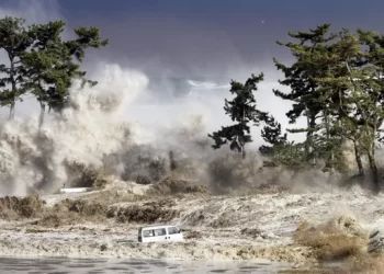 Tsunami ve Gelgit Dalgası Arasındaki Fark Nedir?Çeviri 