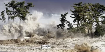 Tsunami ve Gelgit Dalgası Arasındaki Fark Nedir?Çeviri 