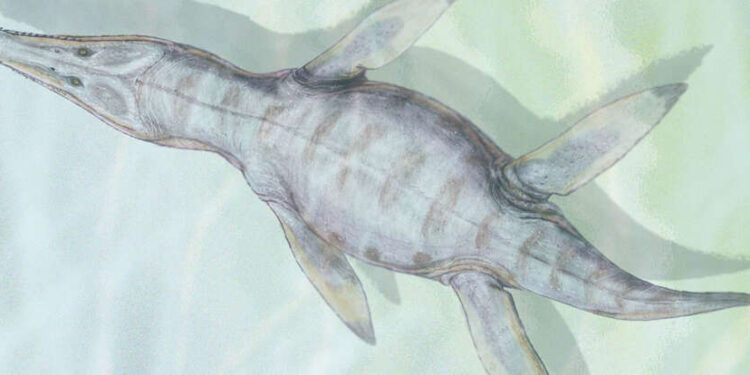 Monquirasaurus boyacensis, 130 milyon yıl önce Paja Formasyonu ekosisteminde dolaşan devasa deniz sürüngenlerinden biriydi. Görsel kaynağı: Dmitry Bogdanov/Wikimedia Commons