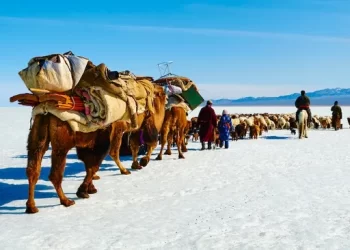 İnsanlar Amerika’ya İlk Olarak Ne Zaman Geldi? En Eski Kanıtlar Nelerdir?Çeviri 
