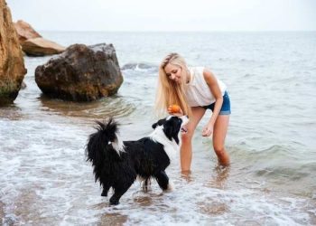 Kısa Süreli Fiziksel Aktivite, Kadınlarda Kalp Krizi Riskini AzaltıyorBasın Bildirisi 