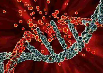 Gazi Üniversitesi’nden Yeni Bir Araştırma, Molibden Trioksit ve Molibden Disülfit’in Toksik Etkilerini Ortaya KoyuyorBasın Bildirisi 
