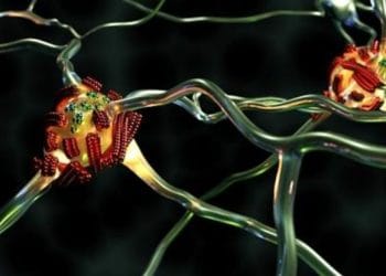 Bilim İnsanları Alzheimer ile İlişkili ‘Süper Yayılıcı’ Proteinleri TanımladıÇeviri